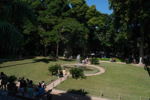 Tropical Treasures: Rio’s Full-Day Nature Expedition
