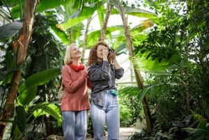 Tropical Treasures: Rio’s Full-Day Nature Expedition