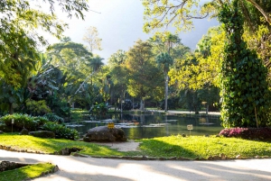 Tropical Treasures: Rio’s Full-Day Nature Expedition