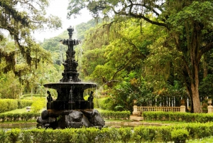 Tropical Treasures: Rio’s Full-Day Nature Expedition
