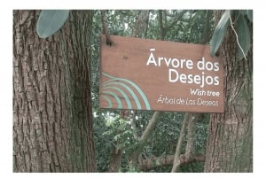 Um Dia no Rio/One Day in Rio