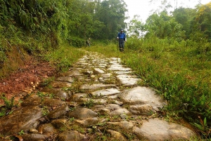 Unforgettable Nature: Tijuca Forest & Jardim Botânico Tour