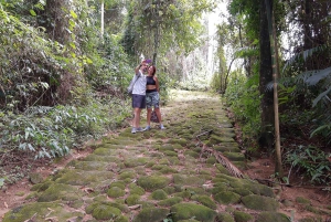 Unforgettable Nature: Tijuca Forest & Jardim Botânico Tour