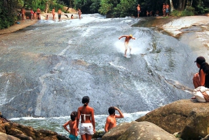 Unforgettable Nature: Tijuca Forest & Jardim Botânico Tour