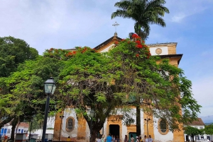 Unforgettable Nature: Tijuca Forest & Jardim Botânico Tour