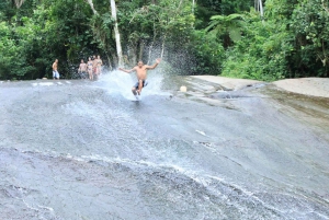 Unforgettable Nature: Tijuca Forest & Jardim Botânico Tour