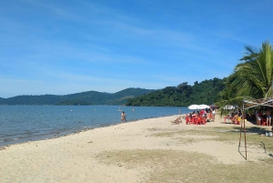 Unforgettable Nature: Tijuca Forest & Jardim Botânico Tour