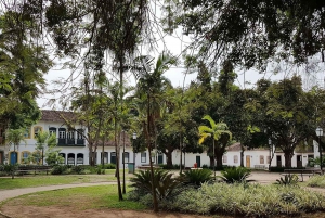 Unforgettable Nature: Tijuca Forest & Jardim Botânico Tour