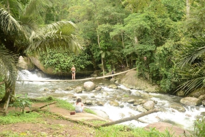 Unforgettable Nature: Tijuca Forest & Jardim Botânico Tour