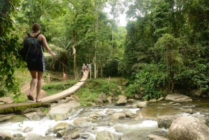 Unforgettable Nature: Tijuca Forest & Jardim Botânico Tour