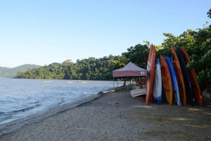 Unforgettable Nature: Tijuca Forest & Jardim Botânico Tour