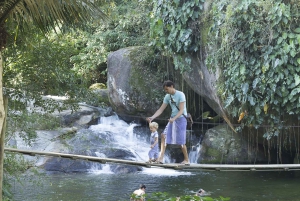 Unforgettable Nature: Tijuca Forest & Jardim Botânico Tour