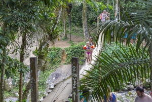 Unforgettable Nature: Tijuca Forest & Jardim Botânico Tour