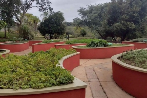 Visit Rio’s Botanical Garden: Nature, History, and Wildlife