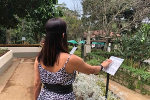 Visit Rio’s Botanical Garden: Nature, History, and Wildlife