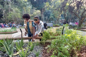 Visit Rio’s Botanical Garden: Nature, History, and Wildlife
