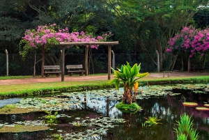 Visit Rio’s Botanical Garden: Nature, History, and Wildlife