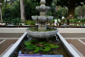 Visit Rio’s Botanical Garden: Nature, History, and Wildlife