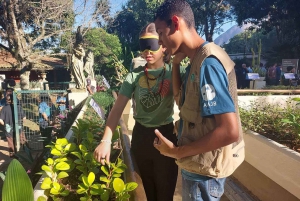 Visit Rio’s Botanical Garden: Nature, History, and Wildlife