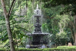 Visit Rio’s Botanical Garden: Nature, History, and Wildlife