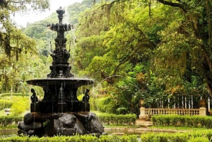 Visit Rio’s Botanical Garden: Nature, History, and Wildlife