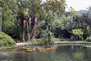 Visit Rio’s Botanical Garden: Nature, History, and Wildlife