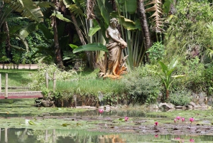 Visit Rio’s Botanical Garden: Nature, History, and Wildlife