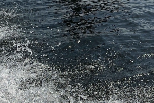 Wakeboarding experience in the South Zone of Rio de Janeiro
