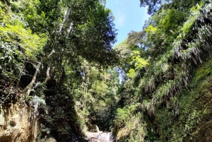 Waterfalls and Caves Trail in the Tijuca Forest