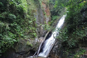 Waterfalls and Caves Trail in the Tijuca Forest