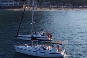 Whale Watching: Boat Adventure