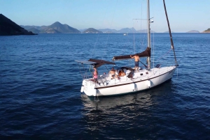 Whale Watching: Boat Adventure