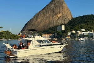 Whale Watching: Boat Adventure
