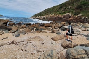 Wild beaches: Rio's most paradisiacal