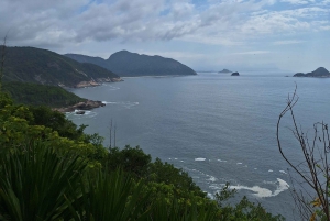 Wild beaches: Rio's most paradisiacal