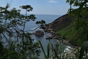 Wild beaches: Rio's most paradisiacal