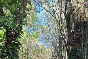 Wild beaches: Rio's most paradisiacal