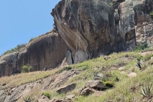 Wild beaches: Rio's most paradisiacal