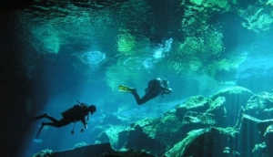 Bahia Divers