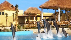 Dolphinaris Park