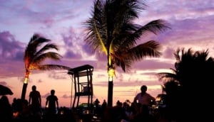 Fusion Beach Bar