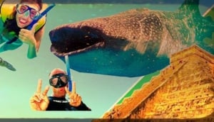 Ocean Tours