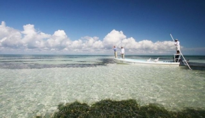Pesca Maya