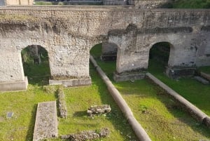 Rome: Full Day Tour Colosseum and Vatican Museums with lunch