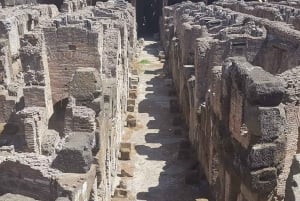Rome: Full Day Tour Colosseum and Vatican Museums with lunch