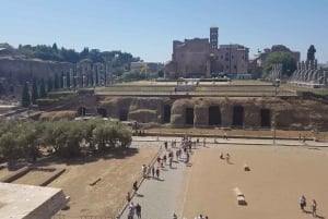 Rome: Full Day Tour Colosseum and Vatican Museums with lunch
