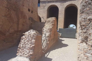 Rome: Full Day Tour Colosseum and Vatican Museums with lunch