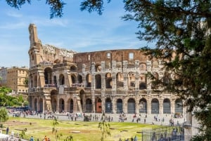 Rom: Colosseum Upplevelse av Colosseum, Forum Romanum och Palatinkullen
