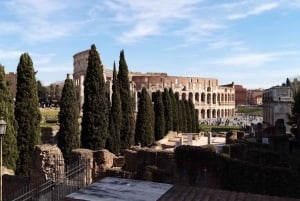 Rome antique et archéologie - Petit groupe uniquement