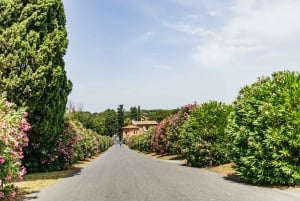 Appia Antica : Location de vélo à la journée avec itinéraires personnalisables